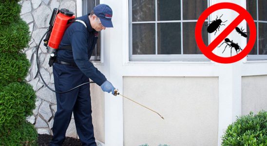Cide Dezenfeksiyon böcek ilaçlama ve haşere kontrolü — ilaclama-tr.com